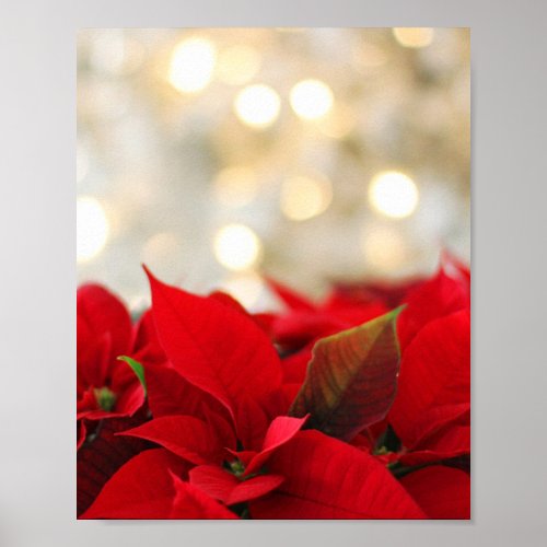 Christmas Poinsettia Poster