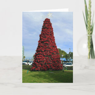 Christmas Poinsettia Tree in San Diego Holiday Card