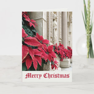 Christmas Poinsettias at Historic Cathedral Card