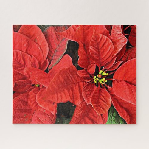 Christmas Poinsettias Design Puzzle