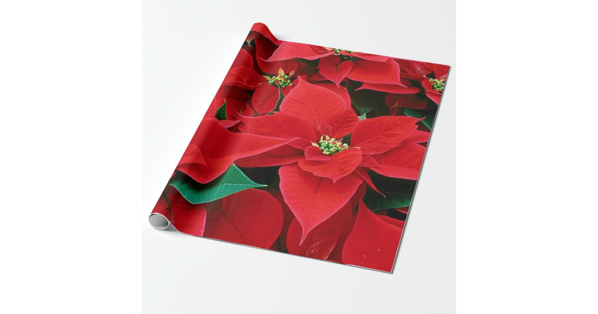 Poinsettia Wrapping Paper