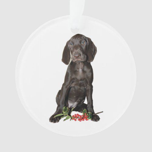 Christmas Pointer Sister Puppy Ornament