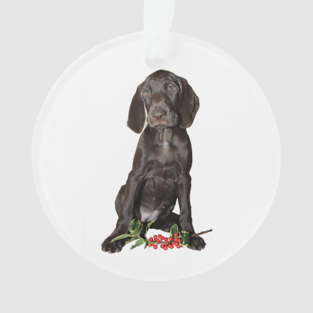 Christmas Pointer Sister Puppy Ornament (Front)