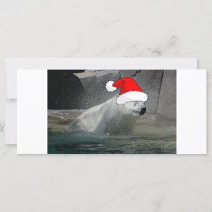 Christmas Polar Bears