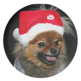 Christmas pomeranian decorative plate