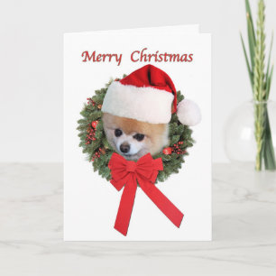 Christmas, Pomeranian Dog, Santa Hat Holiday Card