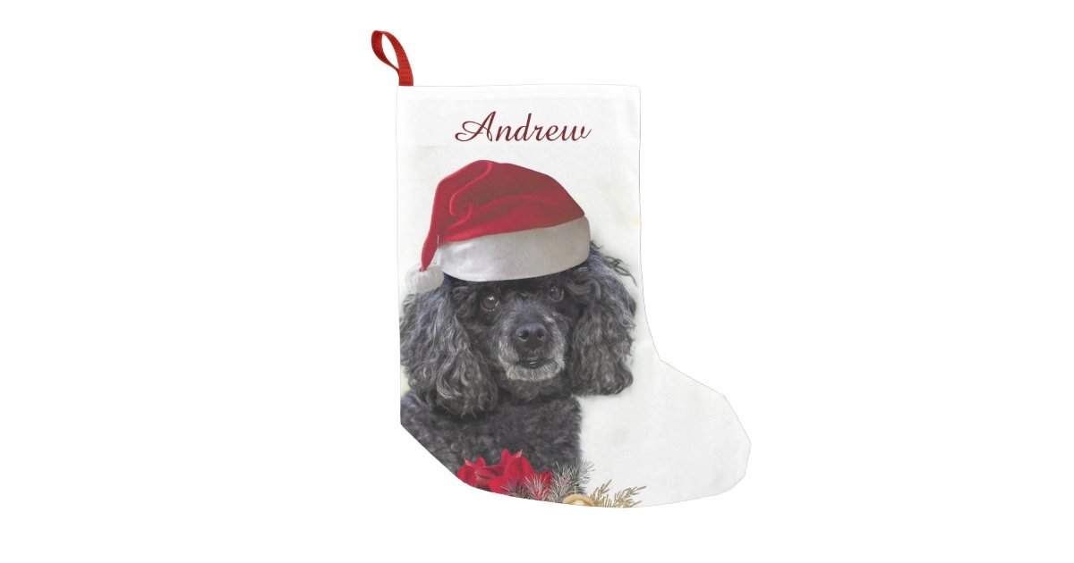 Download Christmas poodle dog personalized Stocking | Zazzle.com