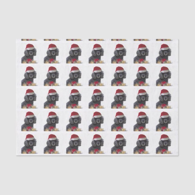 Christmas Poodle dog tissue paper (Front)