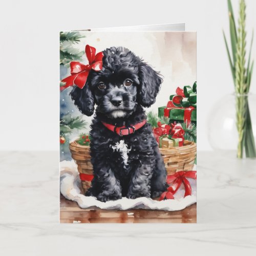 Christmas Poodle puppy  Holiday Card