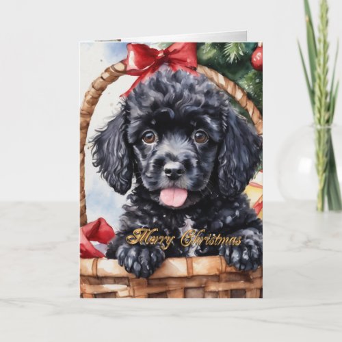 Christmas Poodle puppy in a basket  Holiday Card