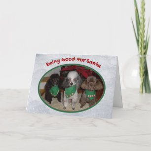 Christmas Poodles Being Good for Santa Holiday Card