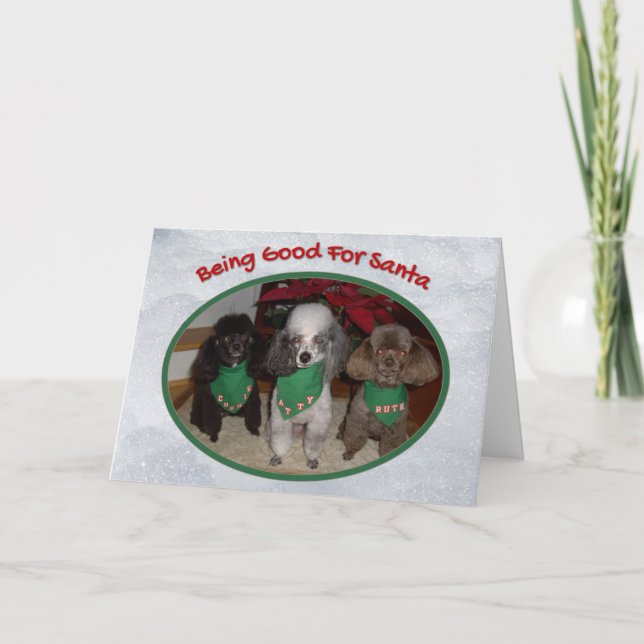 Christmas Poodles Being Good for Santa Holiday  Card (Front)