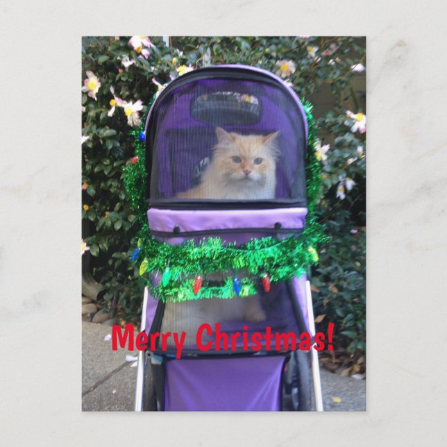 Christmas postcard (Front)