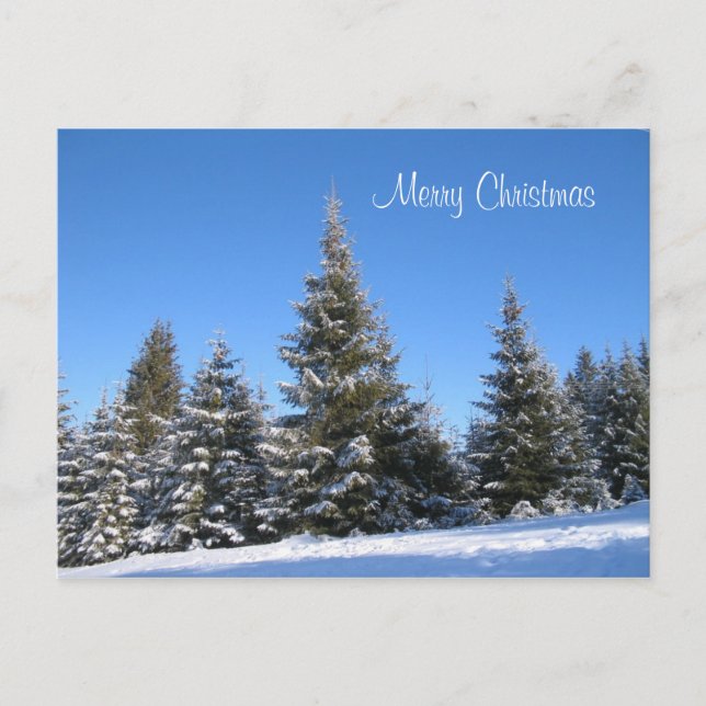 Christmas Postcard (Front)