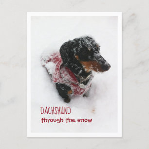Christmas Postcard - Dachshund Through The Snow