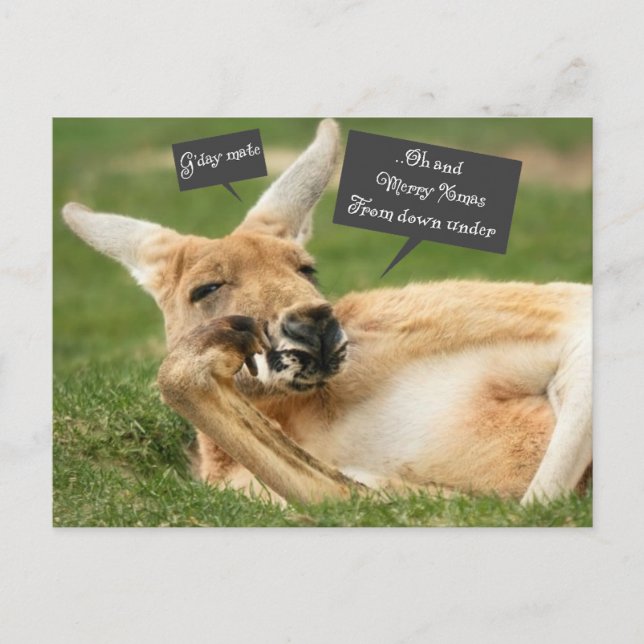 Christmas postcard from Australia; kangaroo (Front)