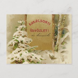 Christmas Postcard from Hungary 1901
