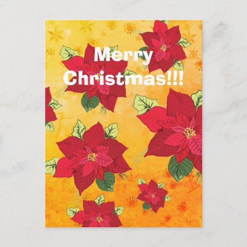 Christmas Postcard  Poinsettia Flower