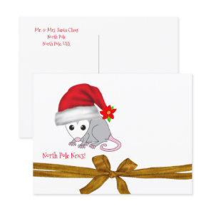 Christmas Postcards North Pole Opossum