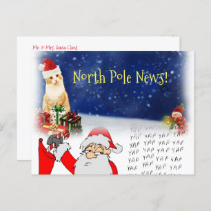 Christmas Postcards North Pole Santa Kitten Cats