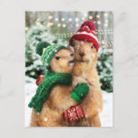 Christmas Prairie Dogs Invitation Postcard