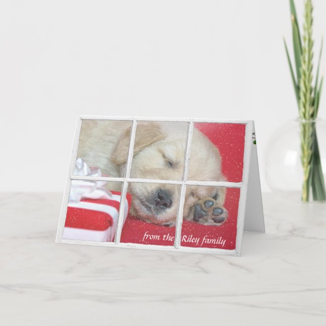 Christmas present-golden retriever pup in window holiday card (Front)