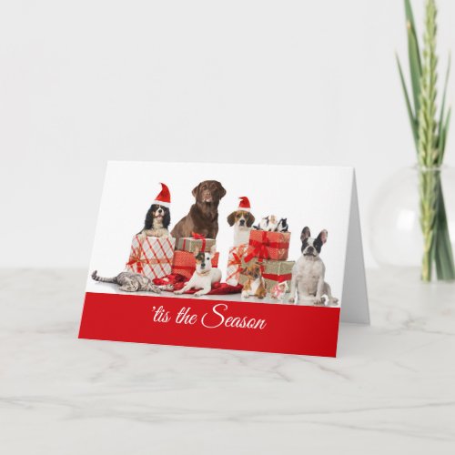 Christmas  Pretty Gifts Santa Dogs and a Cat Holiday Card