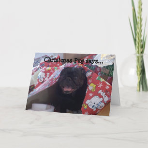 Christmas Pug Christmas Card