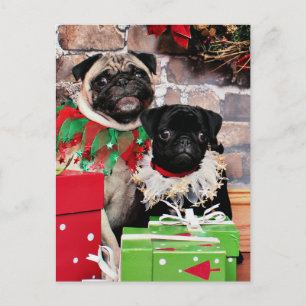 Christmas - Pug - Daisy Mae and Lily Lou Holiday Postcard