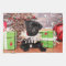 Christmas - Pug - Daisy Mae