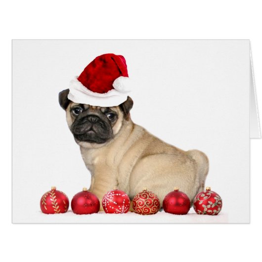 Christmas pug dog (Front Horizontal)