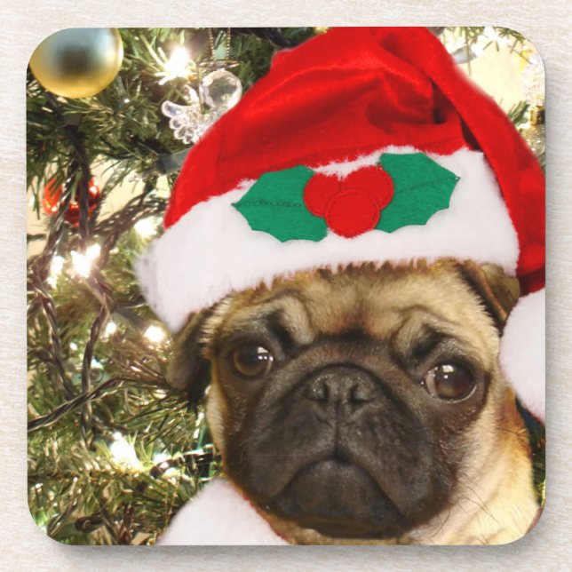 Christmas Pug dog Drink Coaster (Front)