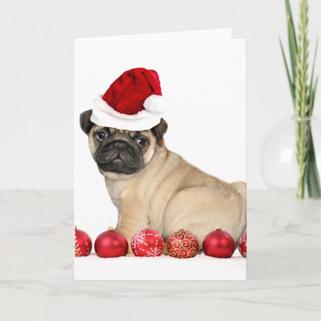 Christmas pug dog holiday card (Front)