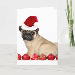 Christmas pug dog holiday card