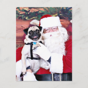Christmas - Pug - Harvey Holiday Postcard