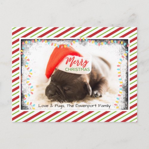 Christmas Pug in Santa Hat with Christmas Lights Holiday Postcard