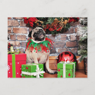 Christmas - Pug - Lily Lou Holiday Postcard
