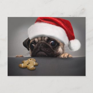 Christmas Pug Postcard