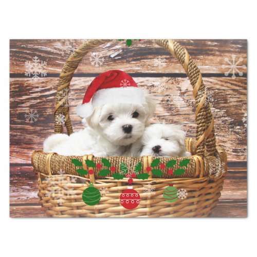 Christmas Puppies adorable Tissue Paper