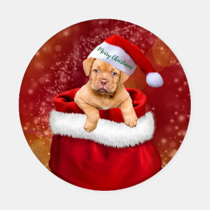 Christmas Puppies Coaster Set