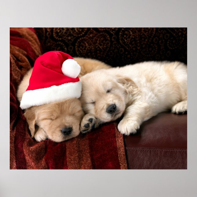 Christmas Puppies Poster (Front)