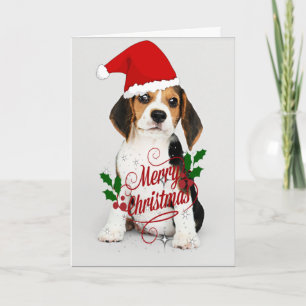 Christmas Puppy Card