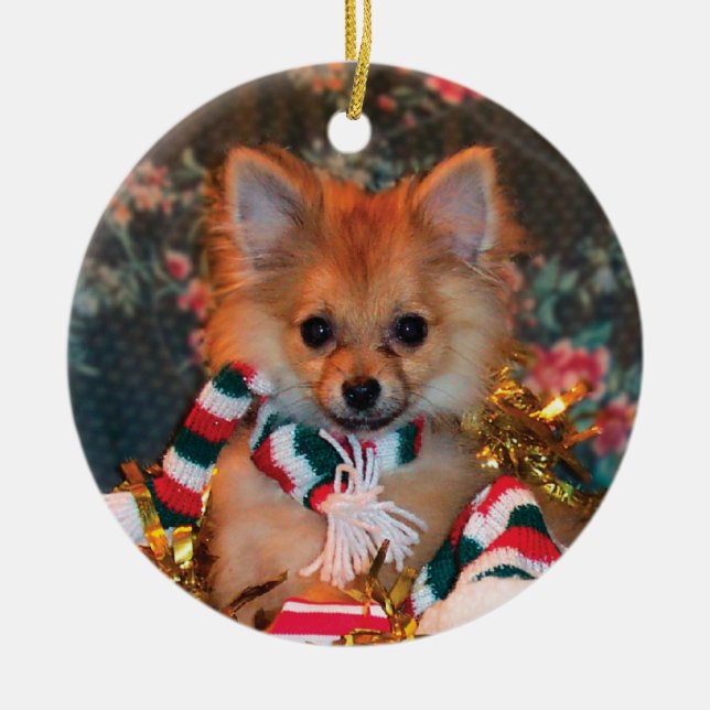 Christmas Puppy Ceramic Ornament (Front)