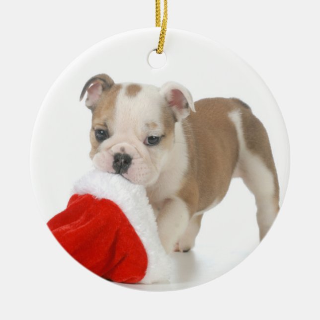 Christmas Puppy - English Bulldog Puppy Ceramic Ornament (Front)