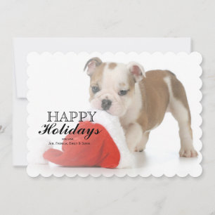 Christmas Puppy - English Bulldog Puppy Holiday Card