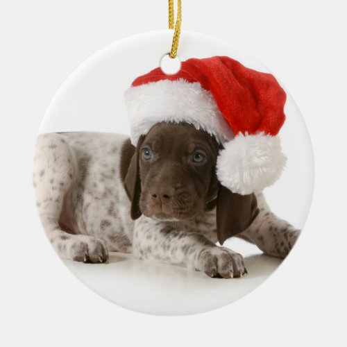 Christmas Puppy _ German Shorthaired Pointer Ceramic Ornament