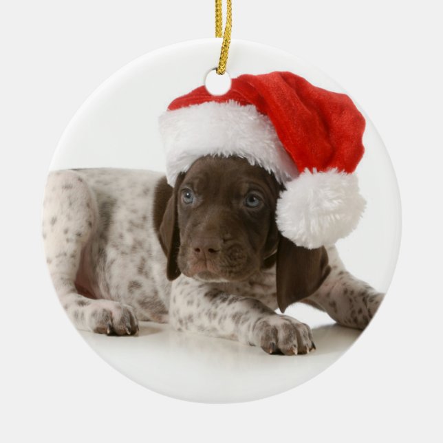 Christmas Puppy - German Shorthaired Pointer Ceramic Ornament (Front)