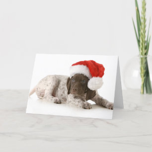 Christmas Puppy — German Shorthaired Pointer Holiday Card