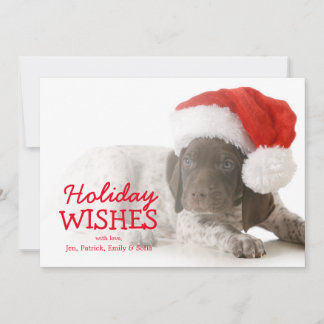 Christmas Puppy - German Shorthaired Pointer Holiday Card