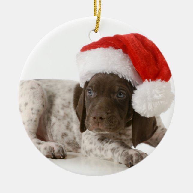 Christmas Puppy - German Shorthaired Pointer Metal Ornament (Front)